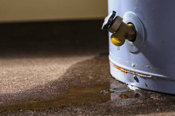 Best Commercial water damage restoration  in Bradford Woods, PA