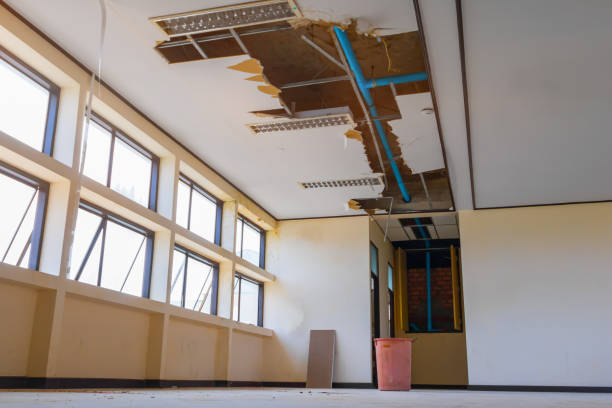 Best Local water damage restoration  in Bradford Woods, PA