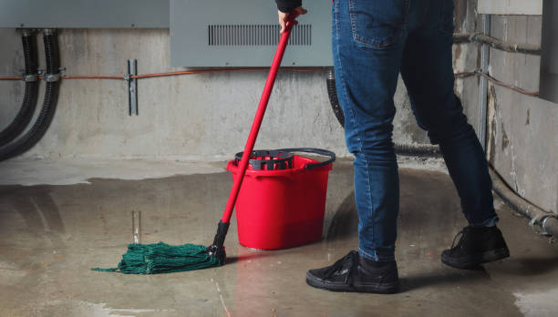 Best Sewage cleanup and water damage restoration  in Bradford Woods, PA