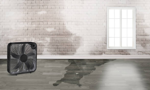 24/7 water damage repair in Bradford Woods, PA