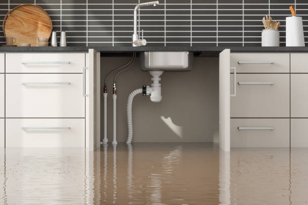 Best Flooded house restoration  in Bradford Woods, PA