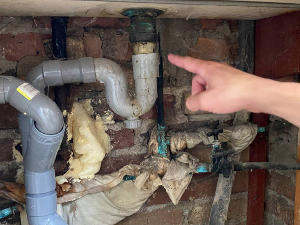 Best Fire Damage Restoration  in Bradford Woods, PA