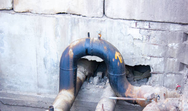 Best Carpet water damage restoration  in Bradford Woods, PA