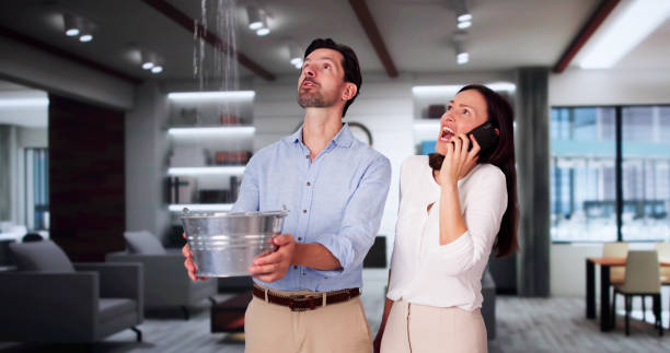 Best Mold removal after water damage  in Bradford Woods, PA