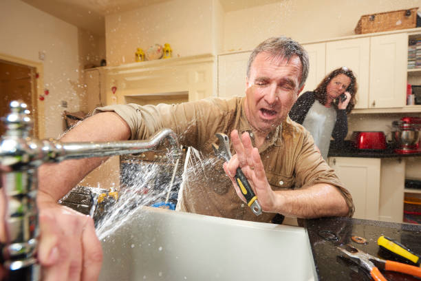 Best Water damage contractors near me  in Bradford Woods, PA